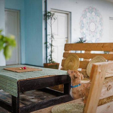 Ananda Tree House Eco Homestay Kathmandu Ngoại thất bức ảnh
