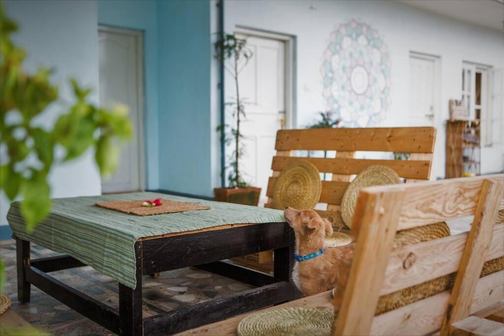 Ananda Tree House Eco Homestay Kathmandu Ngoại thất bức ảnh